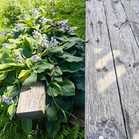 Hisa Hortenzija Luce