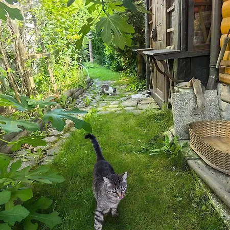 Hisa Hortenzija * Luče