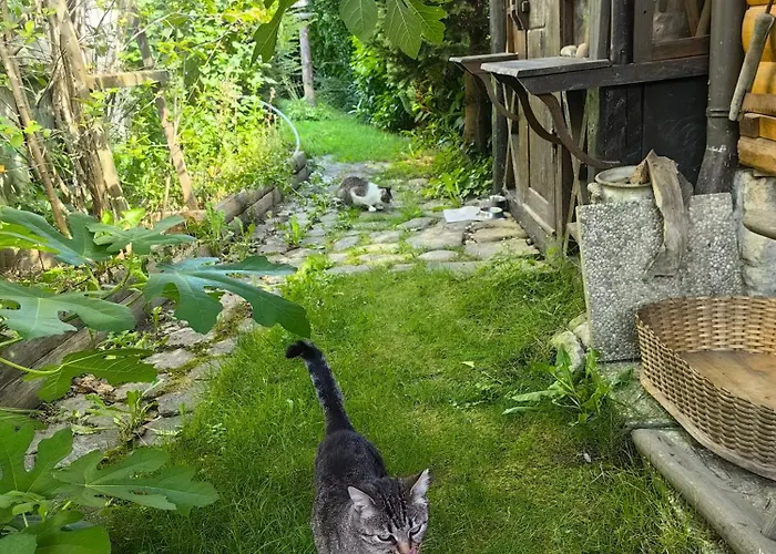 Hisa Hortenzija * Luče