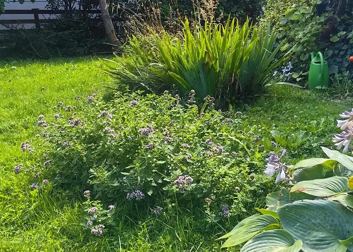 Hisa Hortenzija Vakantiehuis