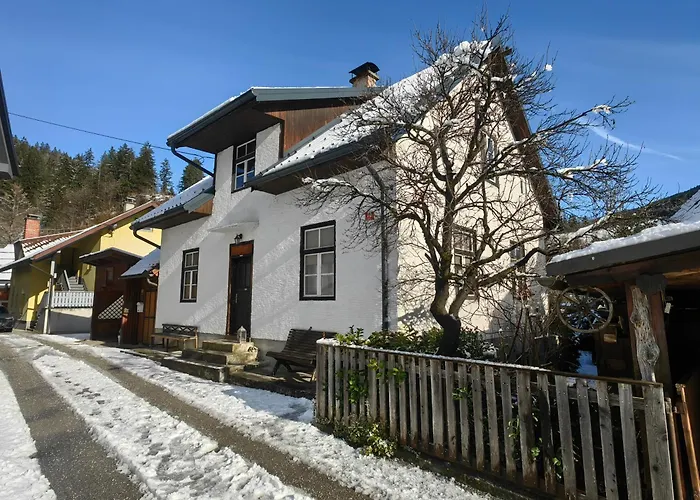 Vakantiehuis Hisa Hortenzija *